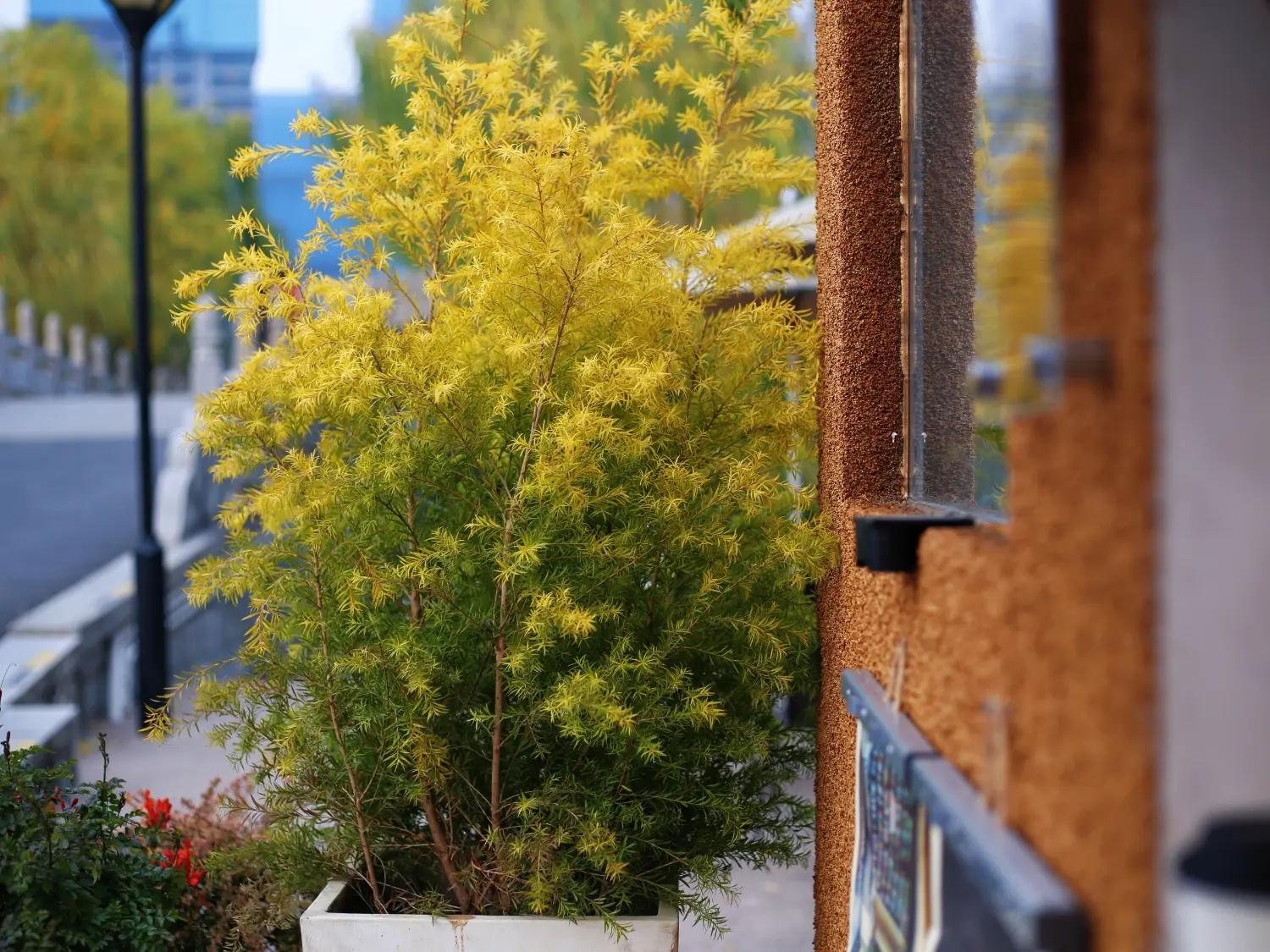 餐车——大宁公园