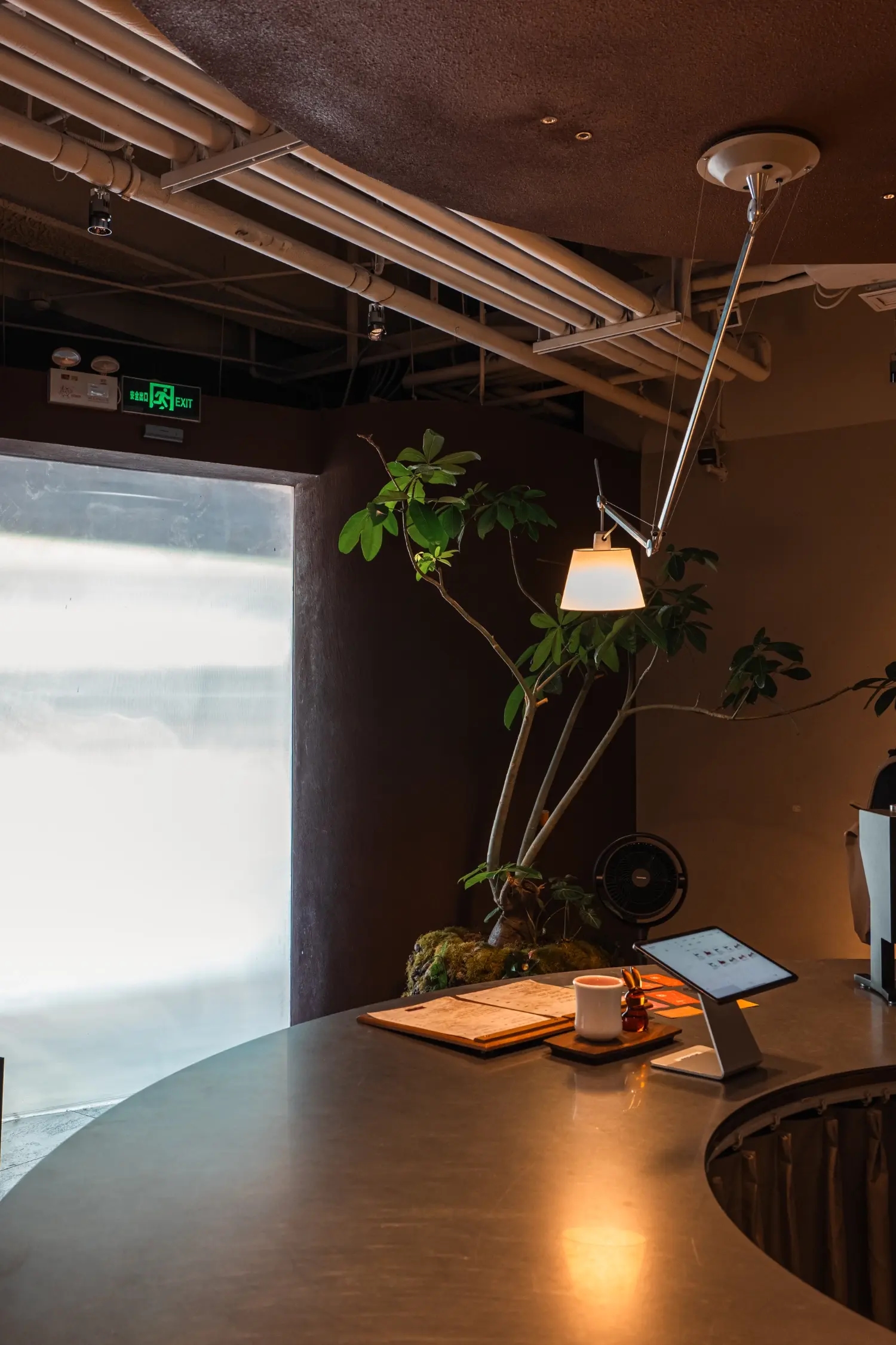 Aftertaste Cork Case